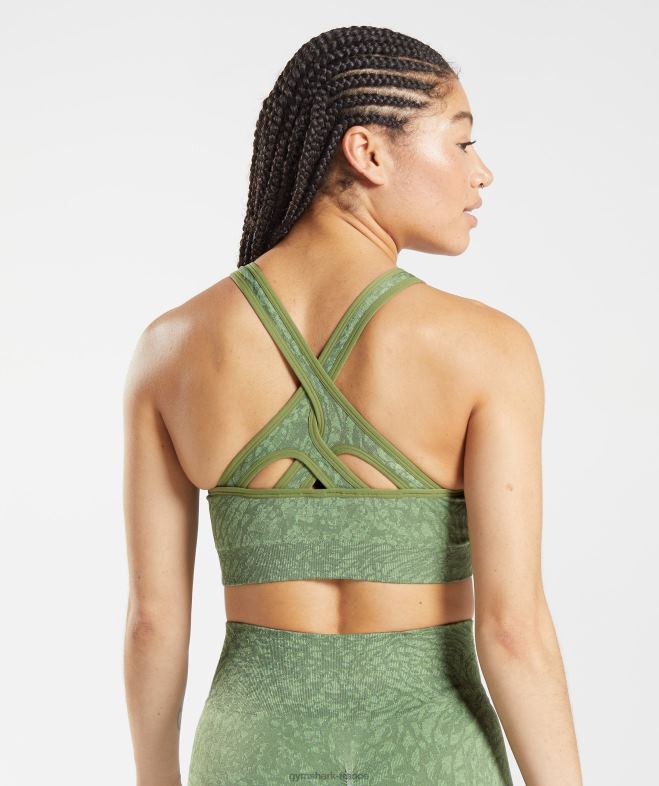 Gymshark adapter le soutien-gorge de sport sans couture animal sauvage | iguane vert femmes 6HF28203